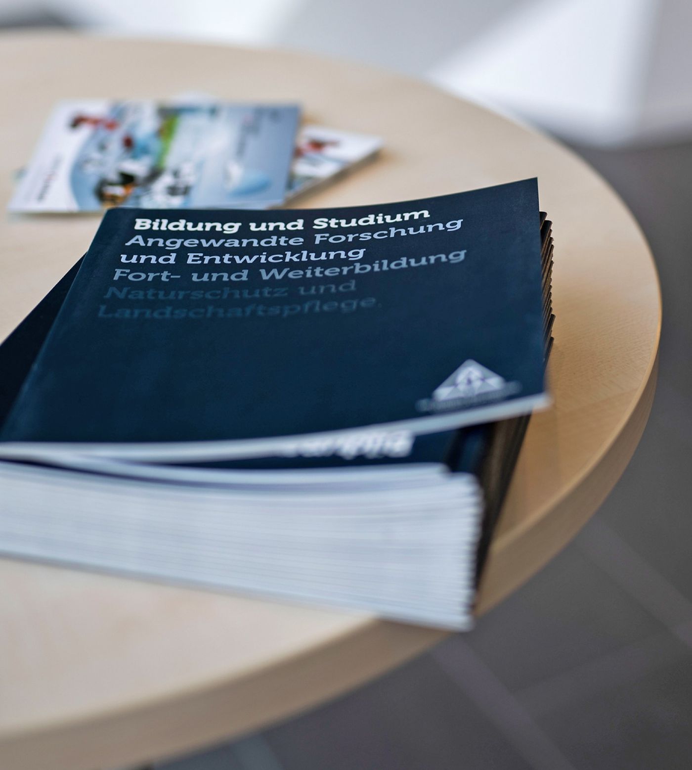 Broschüren der Ulderup Stiftung zu Bildung, Forschung und Förderung