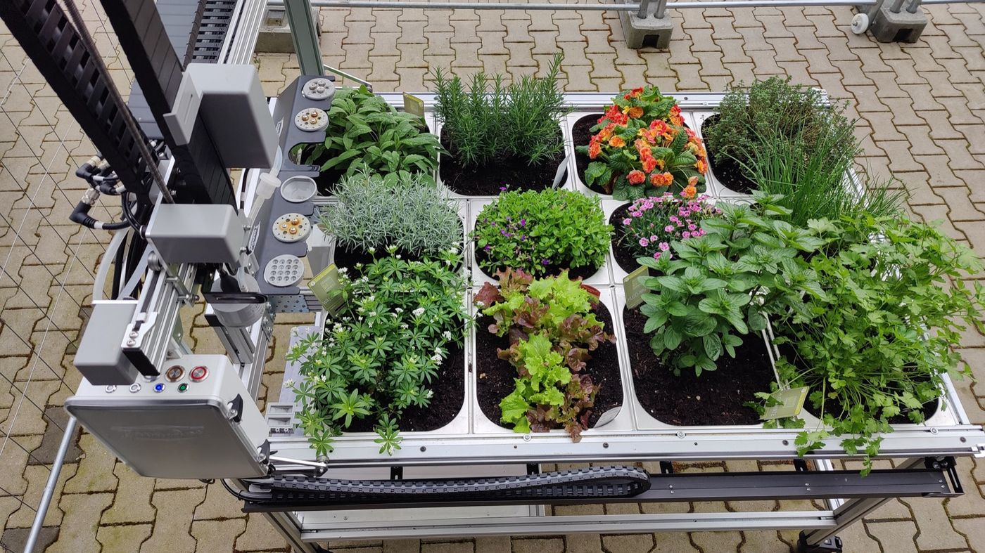 FarmBot im Schulunterricht — Schülerinnen und Schüler am Gartenbeet